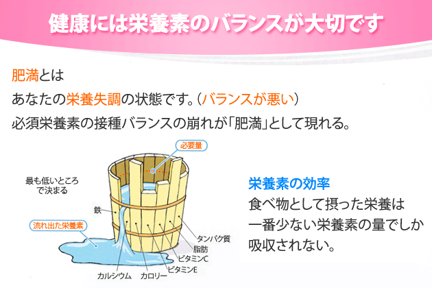 健康には栄養素のバランスが大切です